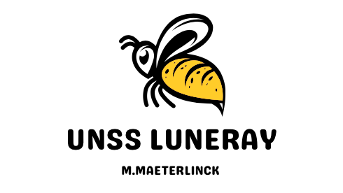 Logo luneray blanc.PNG